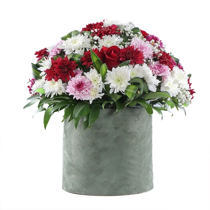 باکس-گل--داوودی-min